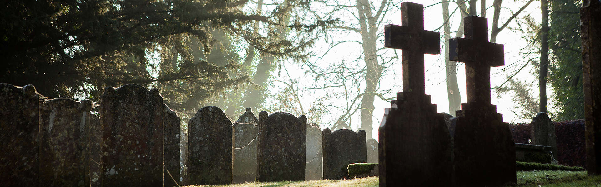 Backlit headstones in one of our churchyards
